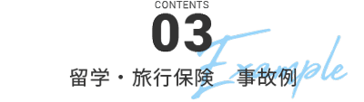 CONTENT03 留学・旅行保険・事故例